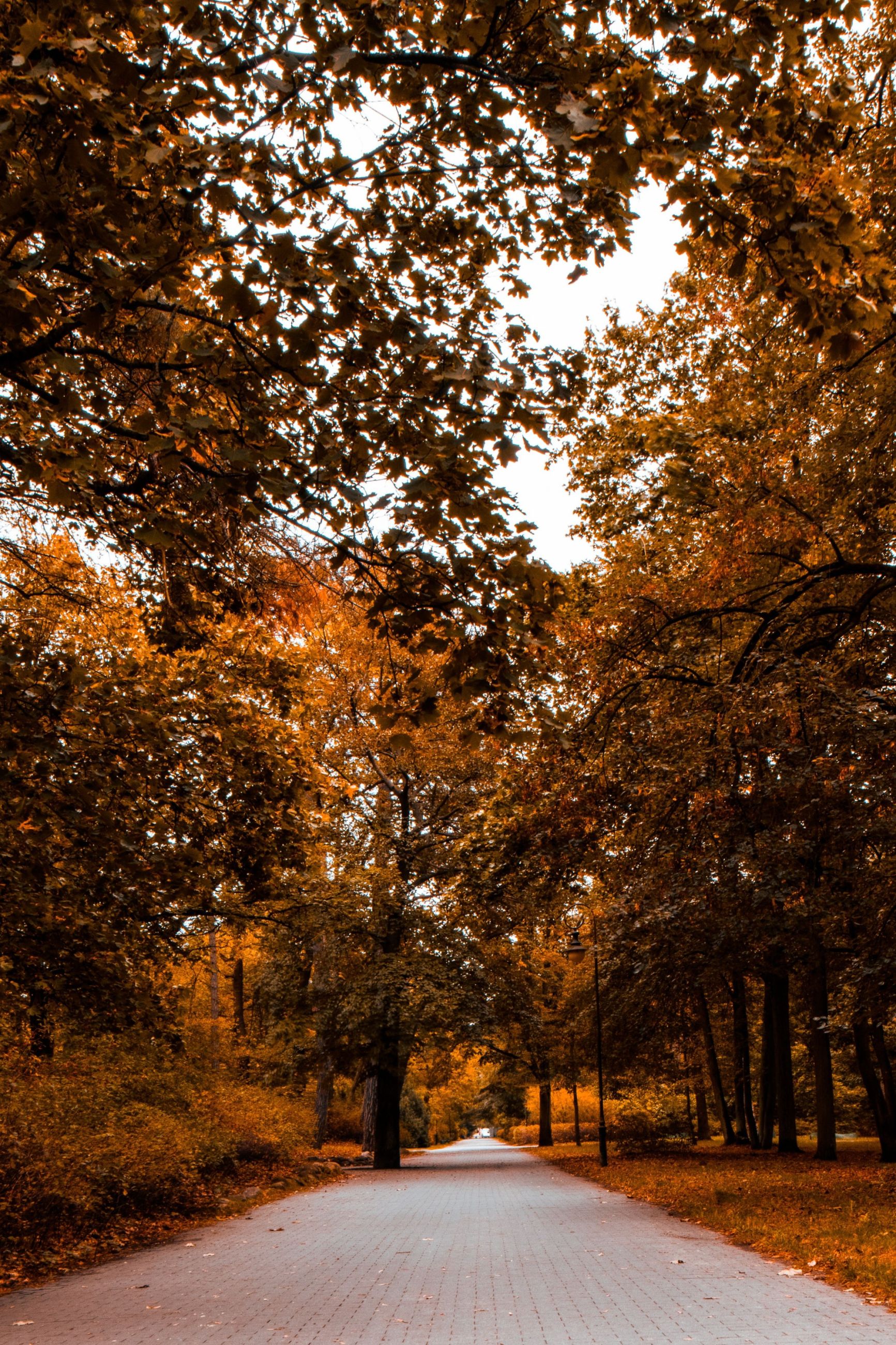 Krzysztof Jaworski-5